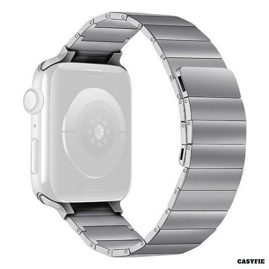 Casyfie Full Magnetic Silver Stainless Steel Band Compatible With 42/44MM